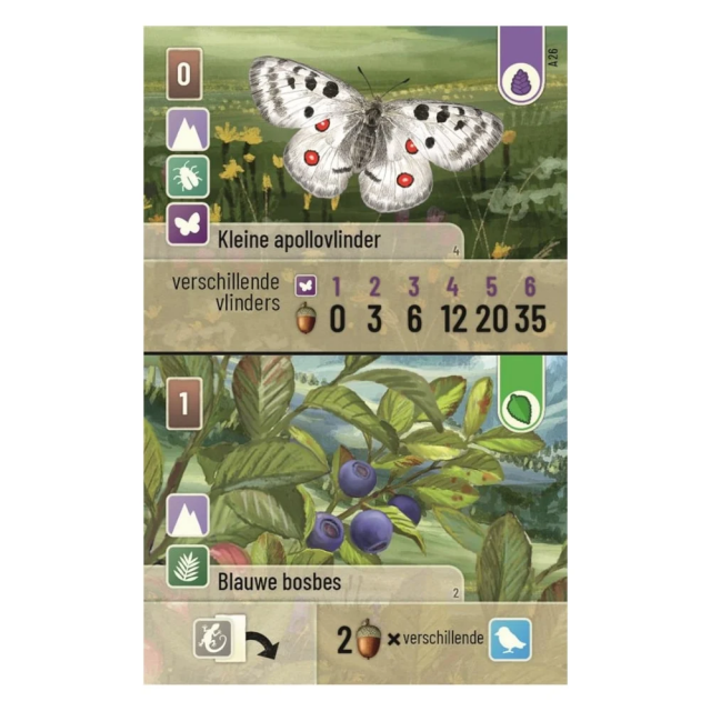 image (1).png