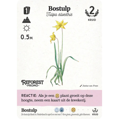 bordspellen-reforest-oerbos (2).jpg