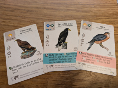 Steppearend, Stellers zeearend, Smelleken