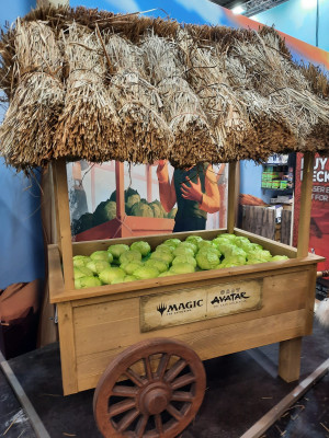 20251023 Vrijdag (6).jpeg