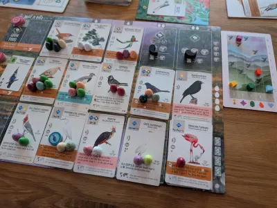 PXL_20260212_153009111 (1).webp