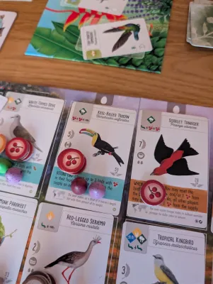 PXL_20260212_153154854 (1).webp