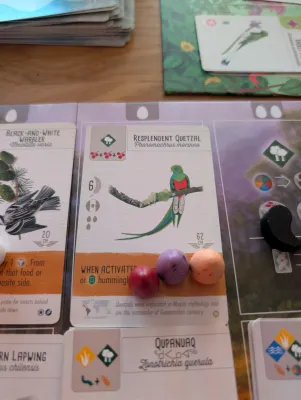 PXL_20260212_153037102 (1).webp